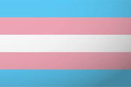 Trans Flag